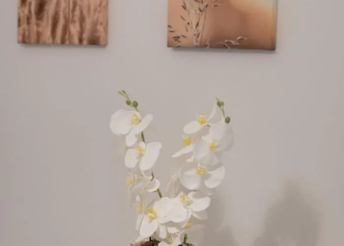 Serenity Lefkas A 利吉亚