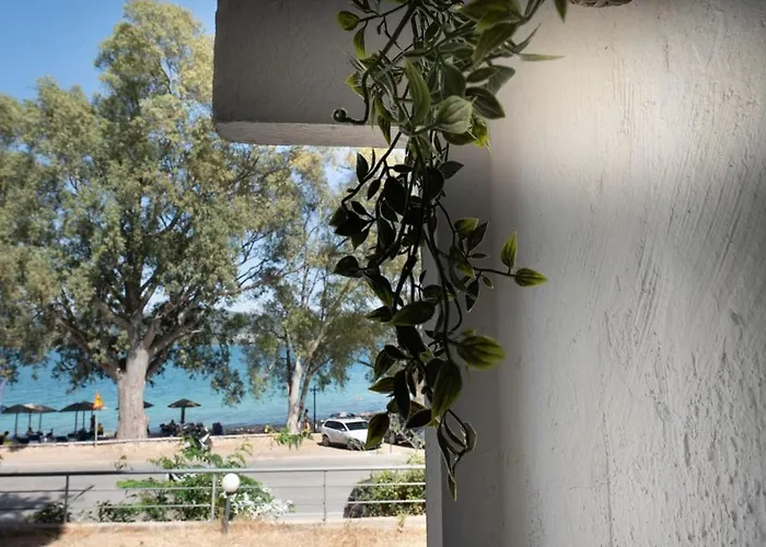 公寓 Serenity Lefkas A 利吉亚